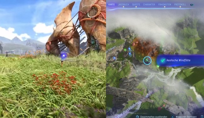 Hier findet die neunte aeolische Windflöte.