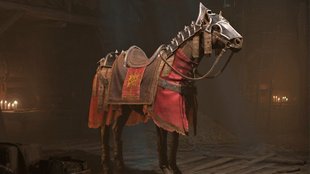 Diablo 4: Donans Gefallen lösen und Reittier freischalten