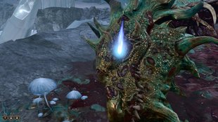 Baldur’s Gate 3:  Wyrmweg – Ansur finden