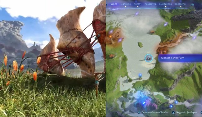 Hier findet die zehnte aeolische Windflöte.