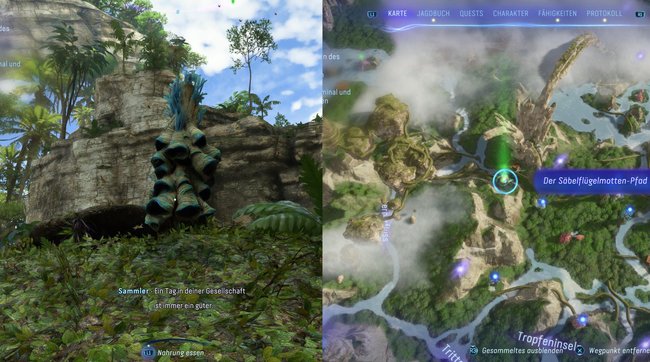 Hier findet ihr den dritten Säbelflügelmotten-Pfad.