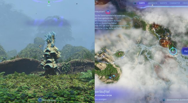 Hier findet ihr den ersten Säbelflügelmotten-Pfad.