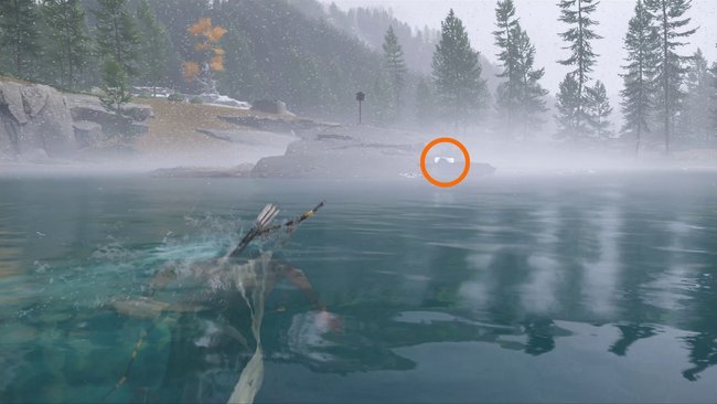 Fundort der "Schutz des Koi"-Maske.