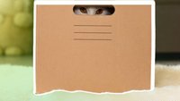 Amazon: Bestellungen verbergen und verstecken – geht das?