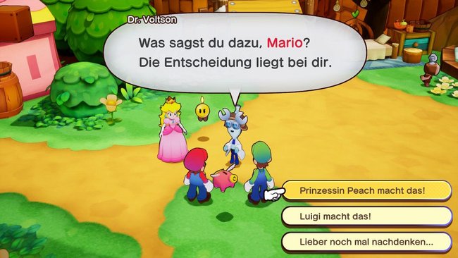 Entscheidung in Mario & Luigi: Brothership, zwischen Peach und Luigi.