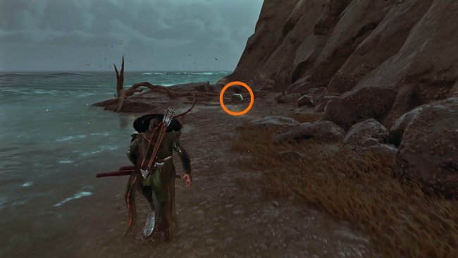 Fundort der "Schleichender Neid"-Maske.