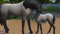 Die Sims 4: Pferderanch DLC – Ein Überblick im Galopp