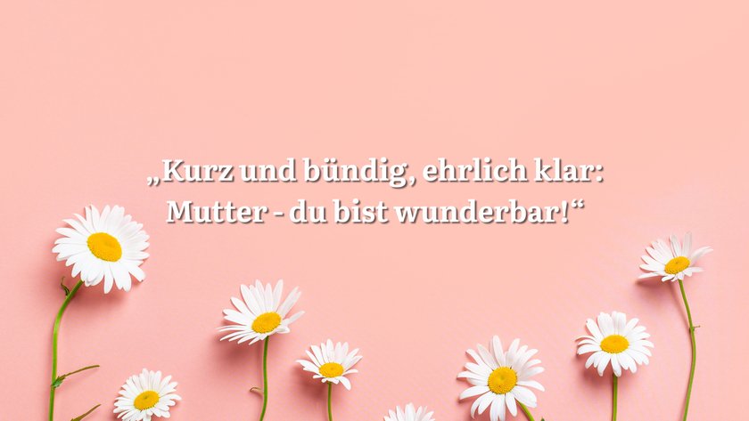 Rosa Hintergrund mit Gänseblümchen und Spruch.