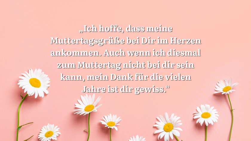 Ein rosa Hintergrund mit Gänseblümchen und einem Zitat.