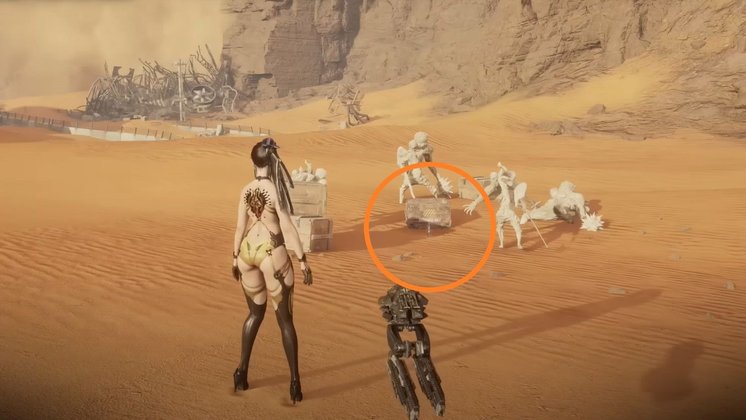 Sternträne AF8742F - Fundort﻿