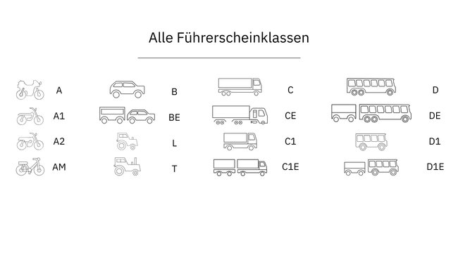 Die Grafik zeigt alle 16 Symbole für Führerscheinklassen, die auf dem Führerschein stehen.