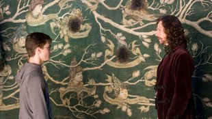 Nur 20 Euro bei Amazon: Legendäre Harry-Potter-Szene bietet das perfekte Puzzle-Motiv