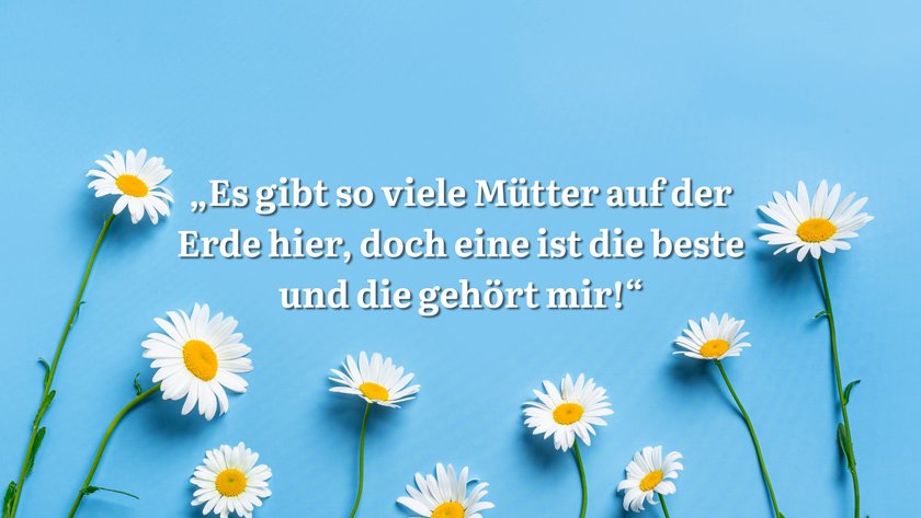 Blauer Hintergrund mit Gänseblümchen und Spruch.