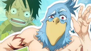 Beliebter als One Piece: Action-Anime auf Crunchyroll ist Solo Leveling auf den Fersen