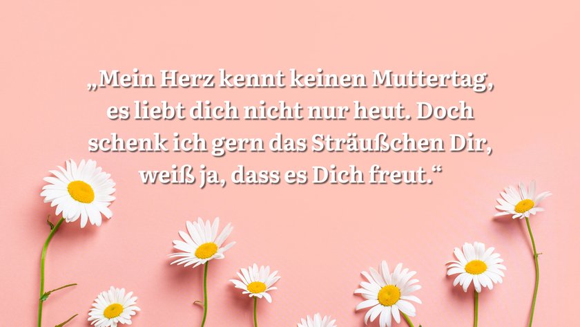 Rosa Hintergrund mit Gänseblümchen und Spruch.