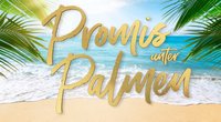 Promis unter Palmen 2025: Start, Kandidaten und Sendetermine