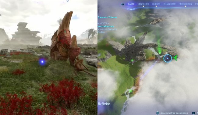 Hier findet die achte aeolische Windflöte.