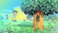 Animal Crossing - New Horizons: 10 Aufgaben, die ihr täglich machen solltet