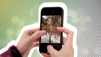 WhatsApp-Kamera nutzen: Fotos und Videos direkt in der App aufnehmen