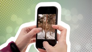 WhatsApp-Kamera nutzen: Fotos und Videos direkt in der App aufnehmen