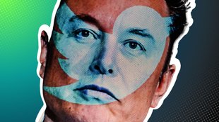 Ausverkauf bei X: Elon Musk verscherbelt eure alten Twitter-Konten