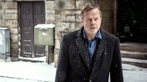 „Wallander“-Filme-Reihenfolge: Die schwedische Krimi-Reihe im Überblick