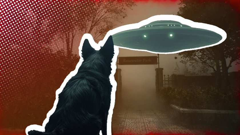 Hund schaut auf ein UFO in Silent Hill 2 Remake