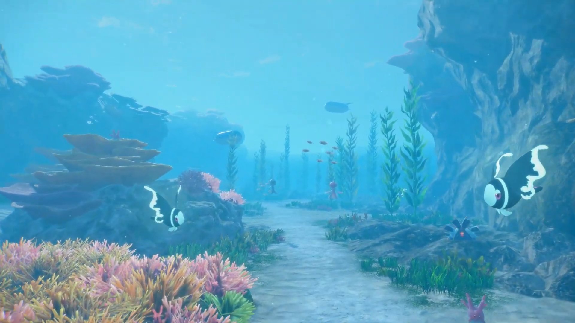 Screenshot from Pok&eacute;mon Wind and Pok&eacute;mon Wave