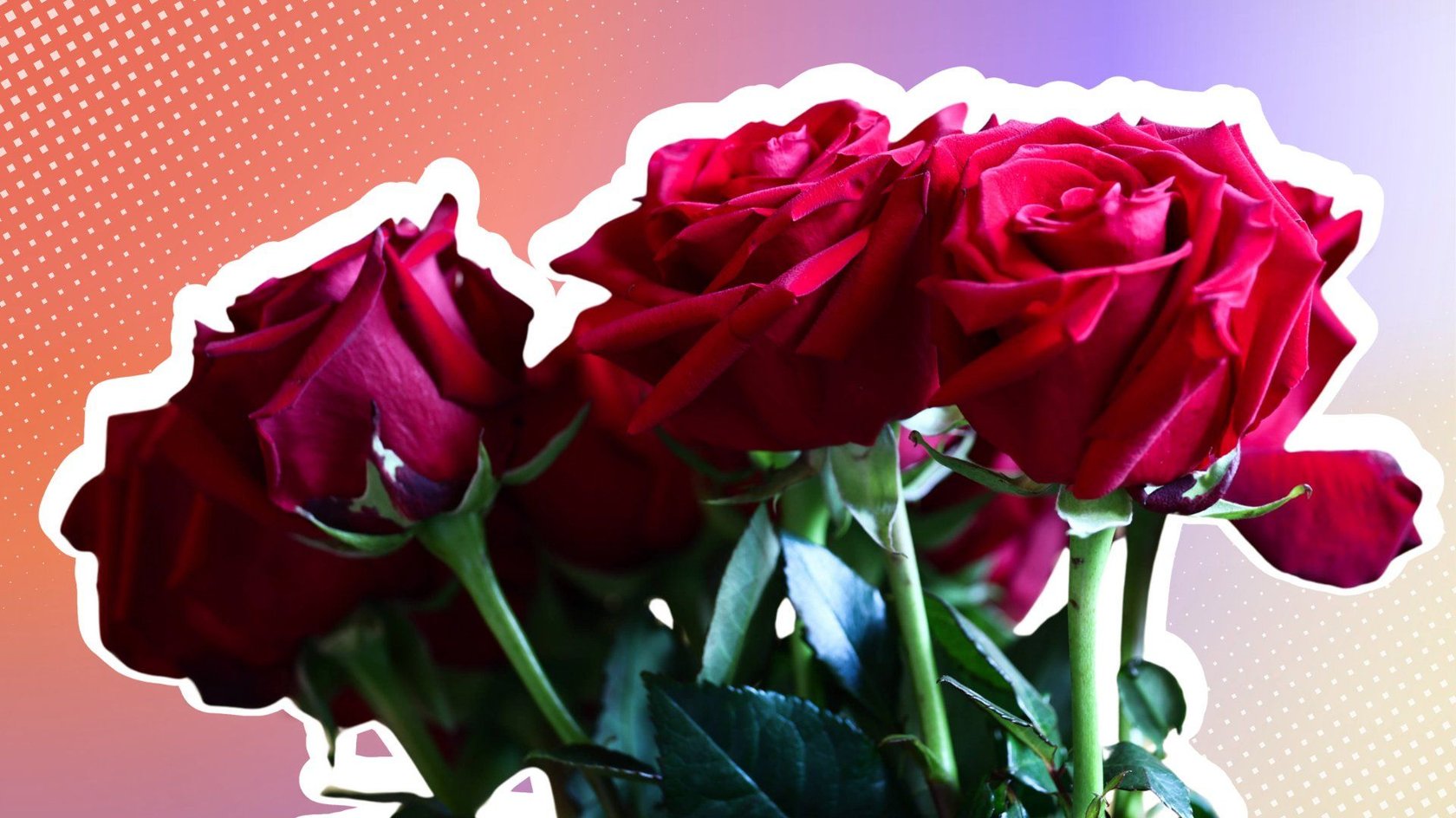 Auch 2025 wird „Die Bachelorette” wieder Rosen verteilen.