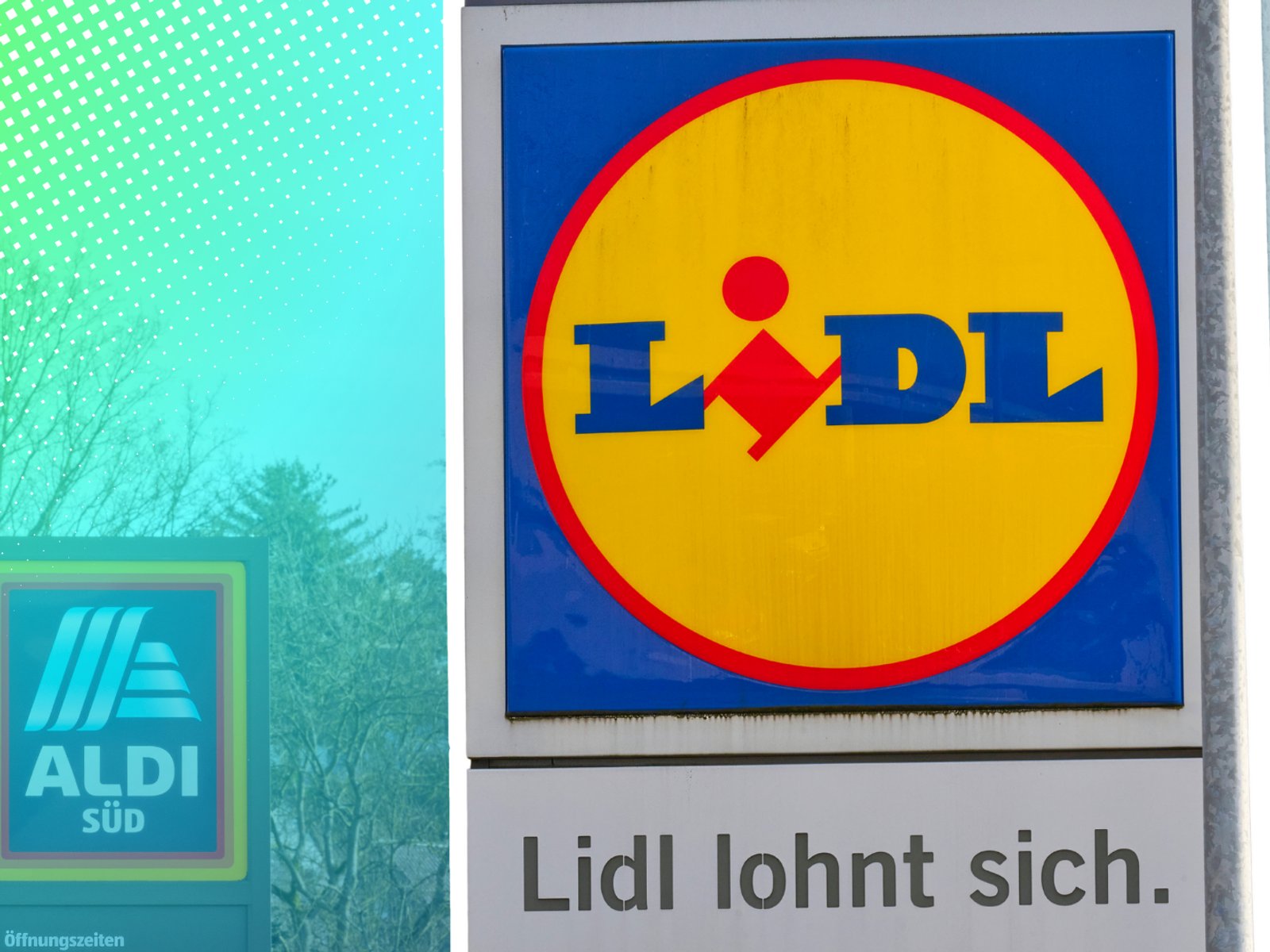 Lidl lsst euren Garten ab heute fr 4,99 Euro in ganz neuem Glanz  erstrahlen