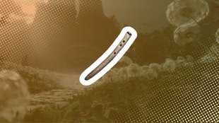 Wuchang Fallen Feathers: Das Item braucht ihr, um Hilfe zu rufen