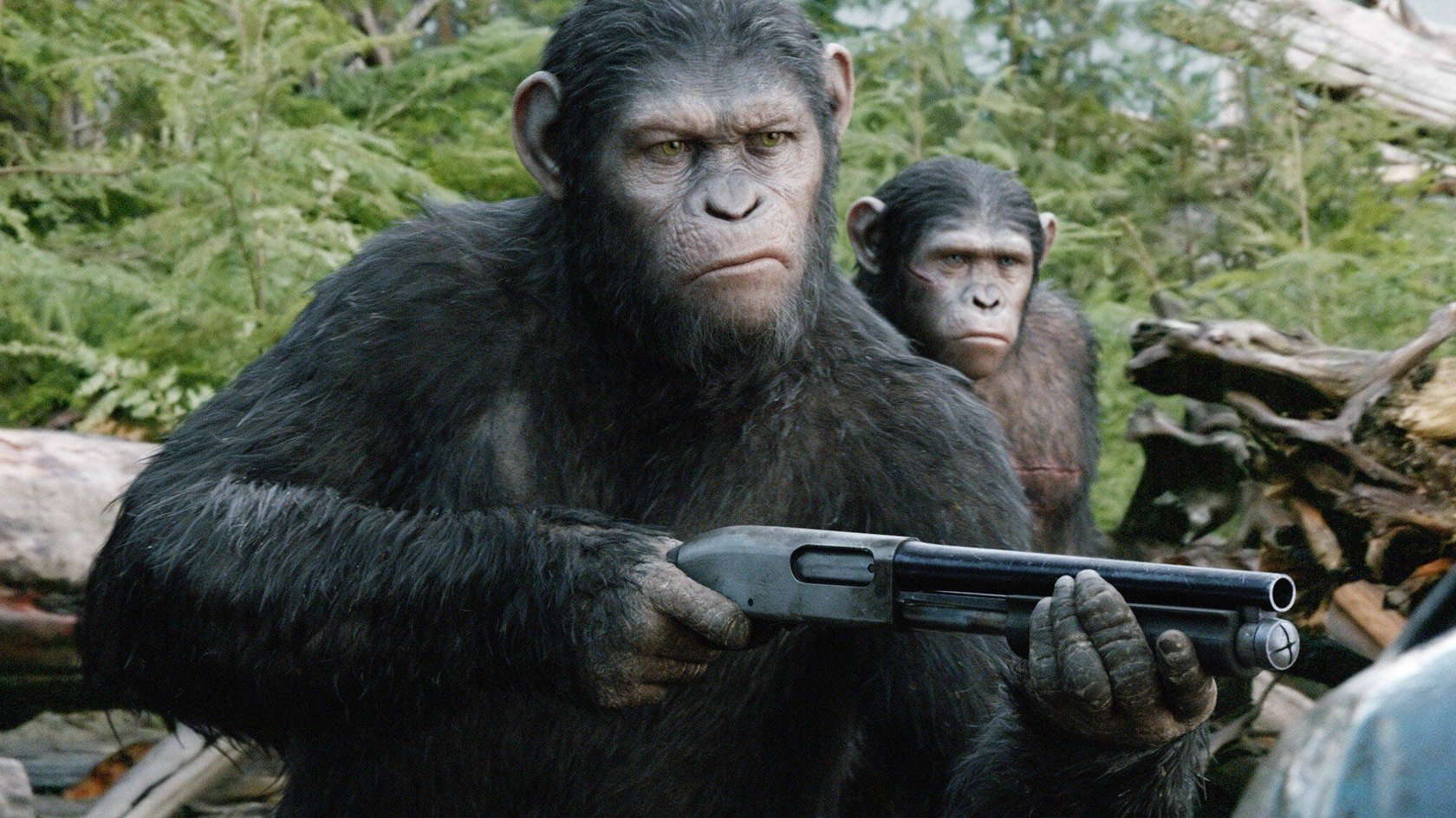 In „Planet der Affen“ wird die Evolutionsgeschichte auf den Kopf gestellt.