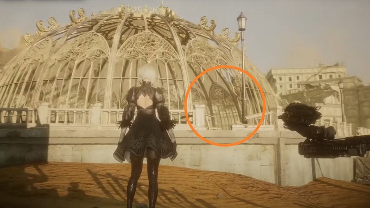 Sternträne #AN5409P - Fundort﻿