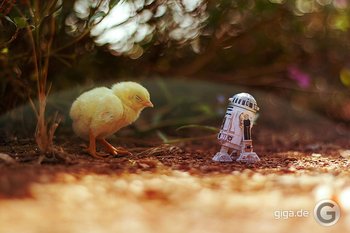 "Dramatische Alltags-Abenteuer" von Star Wars Miniatur-Figuren
