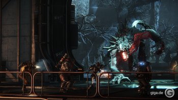 Evolve