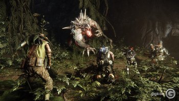 Evolve