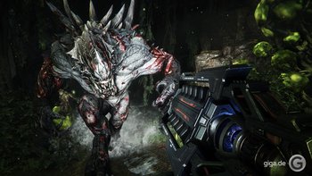 Evolve