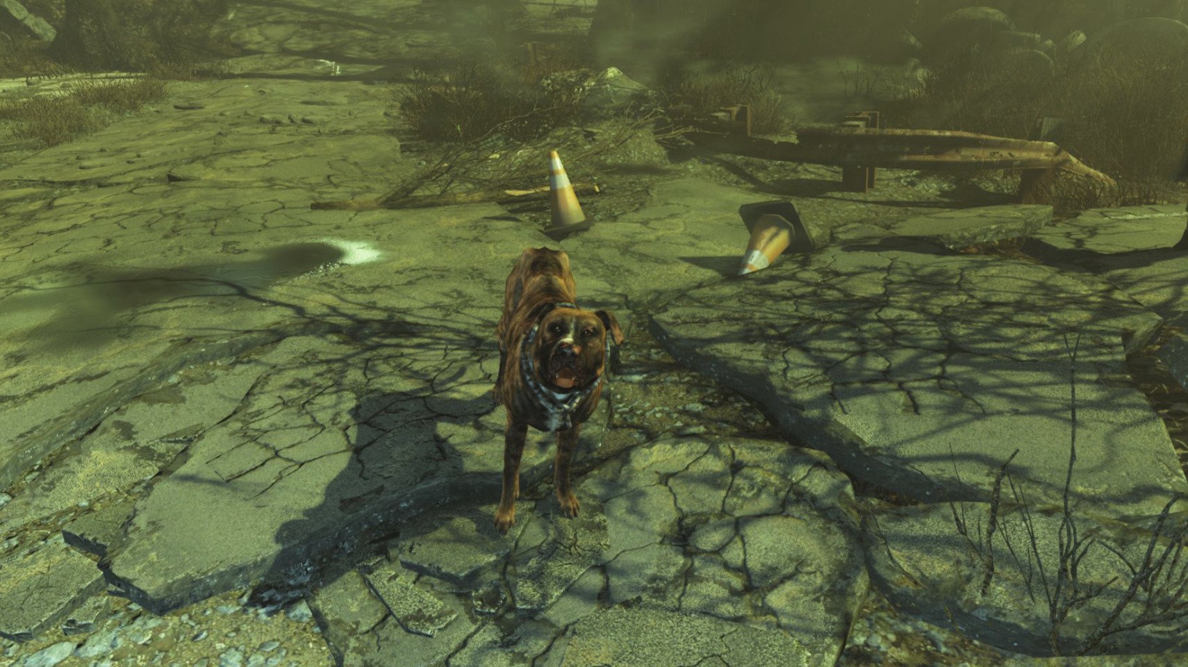 Fallout 4 гончая мутант компаньон фото 17