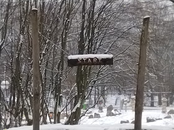 Im maximalen Zoom verwackeln die Bilder des Honor 50 Lite leicht (Bild: GIGA).