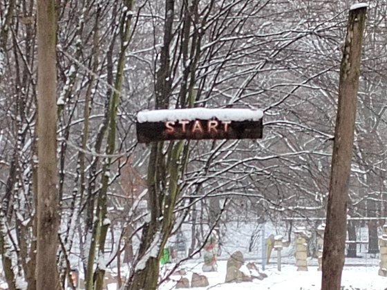 Obwohl auch das Honor 50 über keinen optischen Bildstabilisator verfügt, werden die Fotos im maximalen Zoom etwas schärfer (Bild: GIGA).