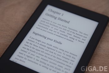Kindle und pdf ein ohne Probleme nutzbares Format