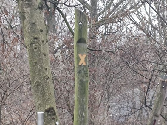 Im maximalen Zoom kommt das Moto G200 dennoch an seine Grenzen (Bild: GIGA).