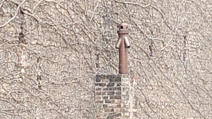 Ein Schornstein ragt aus einer Backsteinmauer, dahinter ranken sich Äste an einer Wand entlang.