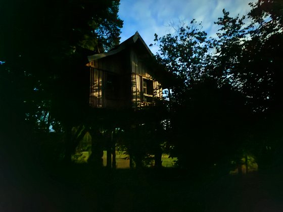 Abermals der Nachtmodus: Ein im stockdunklen Wald aufgenommenes Foto zeigt das fürs Auge nur in Umrissen erkennbare Baumhaus in schöner Hexenhaus-Stimmung und erschütternden Details.