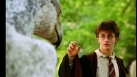 Harry Potter - Hippogreif - Bildschirmschoner
