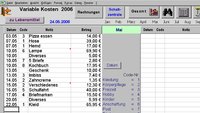 Haushaltskasse für Excel Pro Download