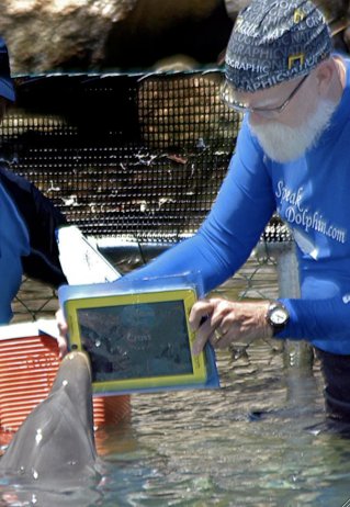 Das iPad als Kommunikationshilfe zwischen Delfin und Mensch