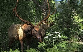 The Hunter