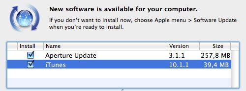 iTunes 10.1.1: Neue Version mit Fehlerbehebung und... Fehlern