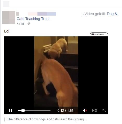 facebook-video-screenshot